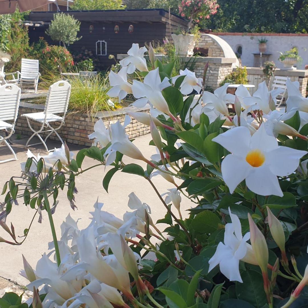 B&B Welgelegen Workum Exterior photo